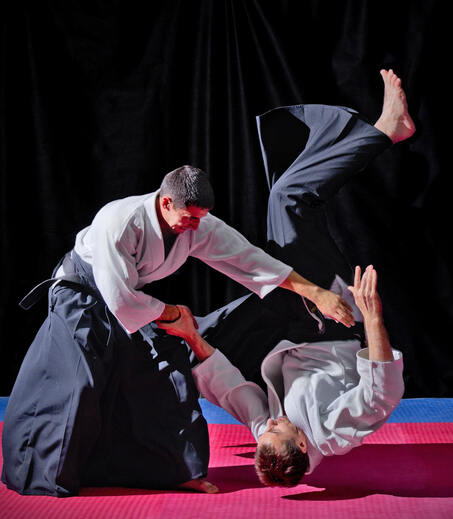 Abteilung Aikido